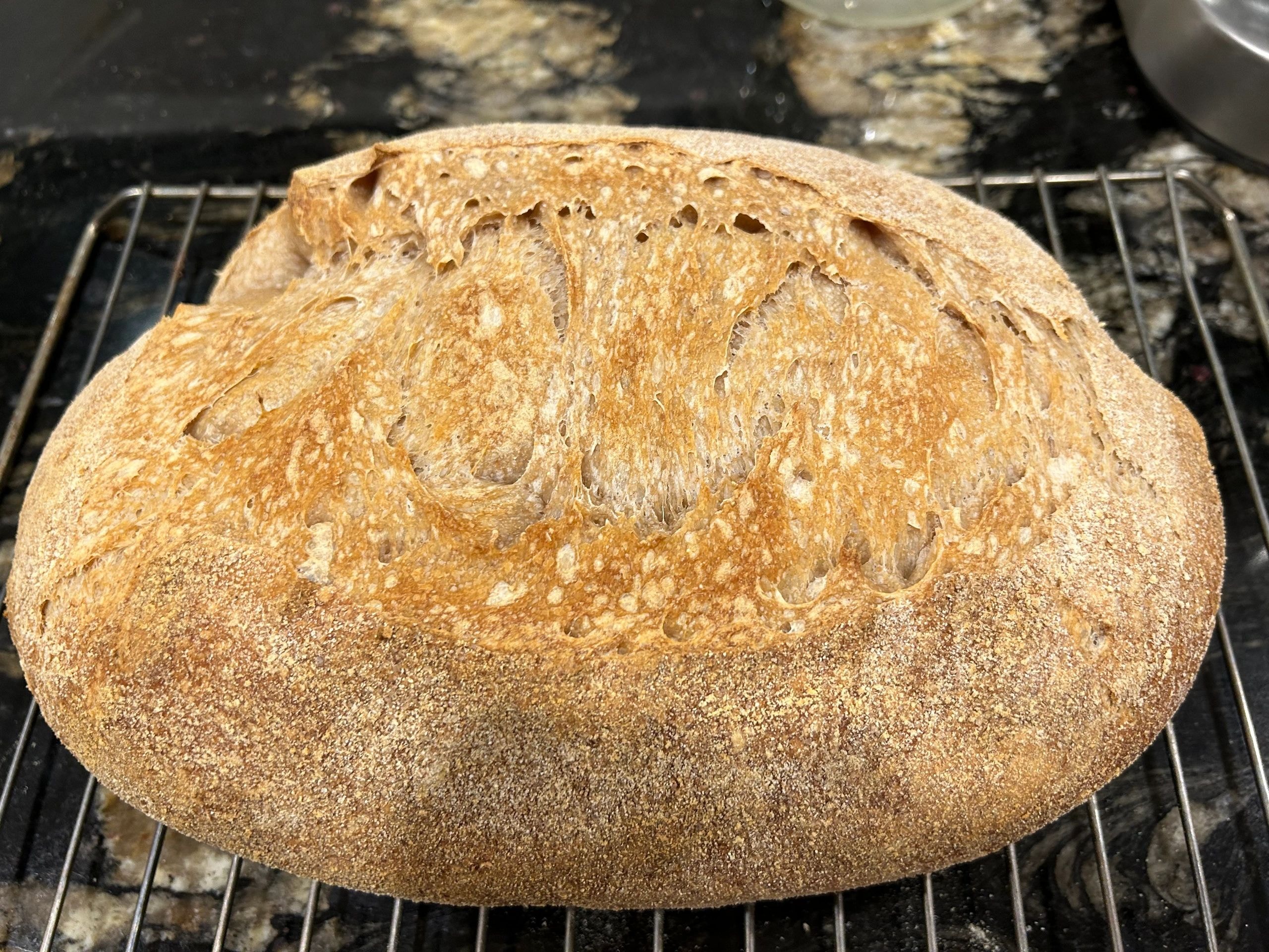 Freshly baked sourdough bread